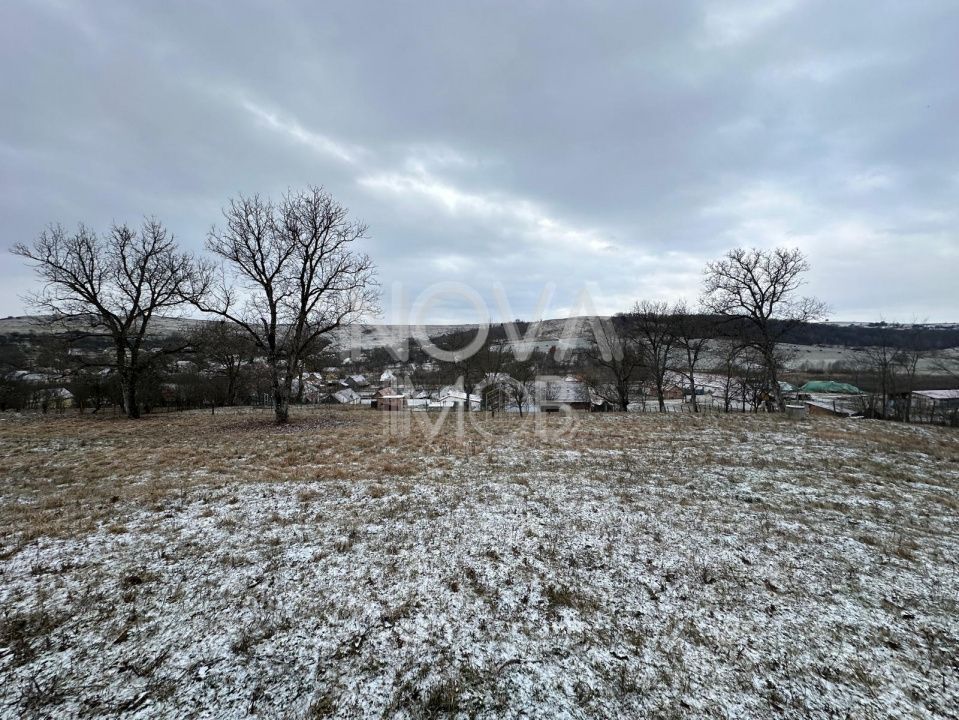 Casa individuala cu teren generos – 8.356 mp – Tichindeal, jud. Sibiu - Poză 9