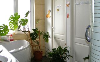 Apartament de 3 camere, Baciu - Poză 8