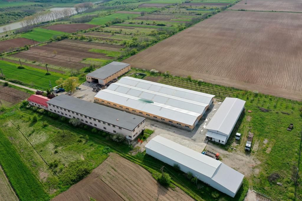 HALE INDUSTRIALE & PLATFORME BETONATE & TEREN INTRAVILAN 23500MP CRAIOVA - Poză 3