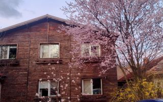 BREBU/PRAHOVA(cod04)-Casa P+1 zona mirifica - Poză 25