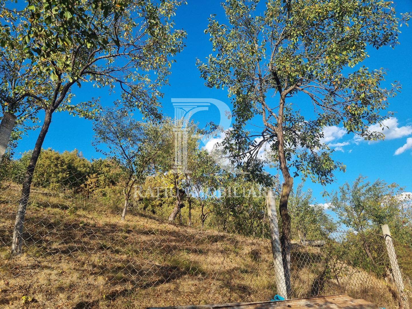 Casă renovata cu teren generos | Anexe | Gurasada | Hunedoara - Poză 45