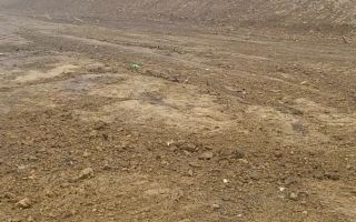 Teren Intravilan | 3.700 mp | Sura MAre - Poză 2