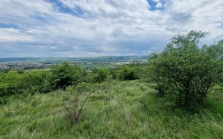 Teren extravilan de vanzare, Paclisa - Poză 3