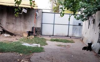 Constructie hala garaj plus teren ,   300 mp,  Sos. Fundeni, Stradal - Poză 5