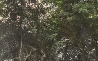 Inchiriere garsoniera semidecomandata, Piata Muncii - Poză 12