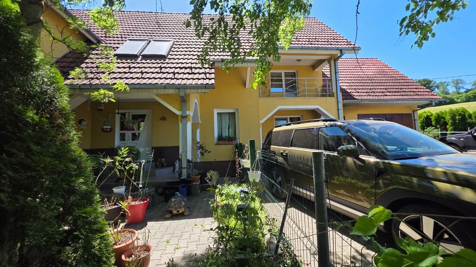 PROPRIETATE PREMIUM CU 4.534 MP TEREN- REGHIN STRADA POMETULUI - Poză 6