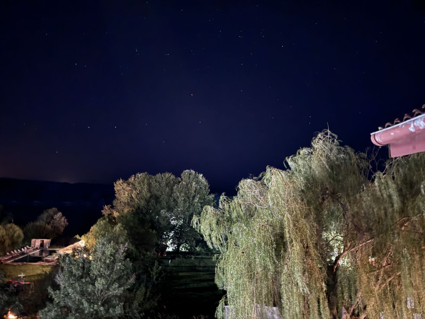 Hotel 25 camere 100 m deschidere DELTA DUNARII teren 12000 mp acces auto - Poză 13