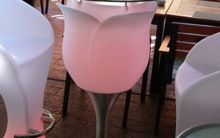 Restaurant de prestigiu cu 30 ani de traditie Parcul Carol - Poză 10