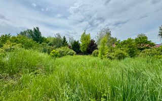 Vila cu 5 camere *616mp* / 1600mp teren / Corbeanca - Poză 36