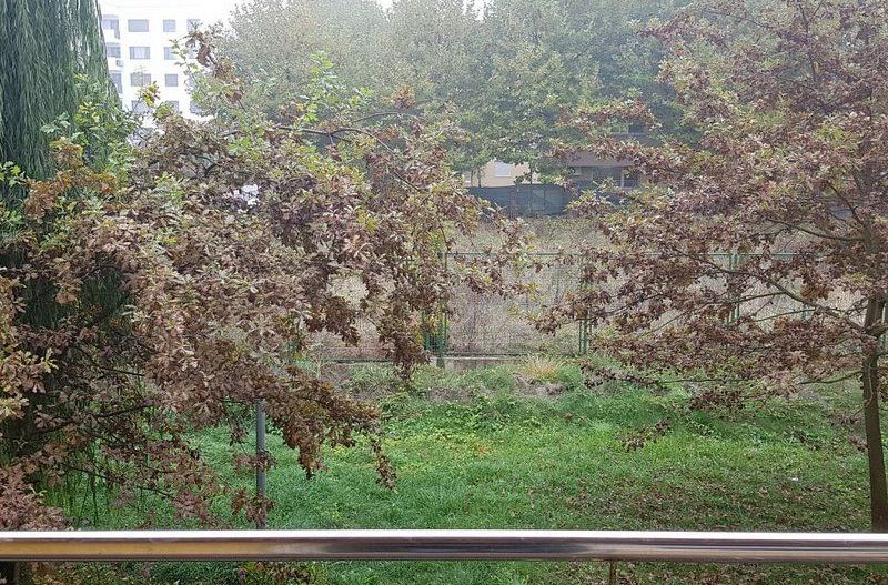 Apartament 2 camere in Greenfield, Padurea Baneasa, 1/3, dec, mob - Poză 4