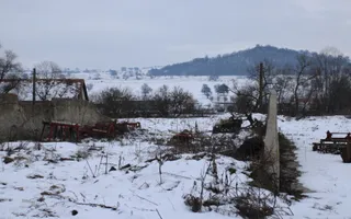 Fermă agricola funcțională de vanzare I Vurpar - Poză 27