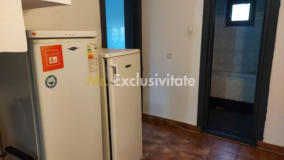 De închiriat: Hale si locuință pe 3 000 mp/ Bascov - Argeș - Poză 16