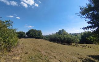 Teren intravilan | Mănăstioara – Siret | 2.200 mp - Poză 4