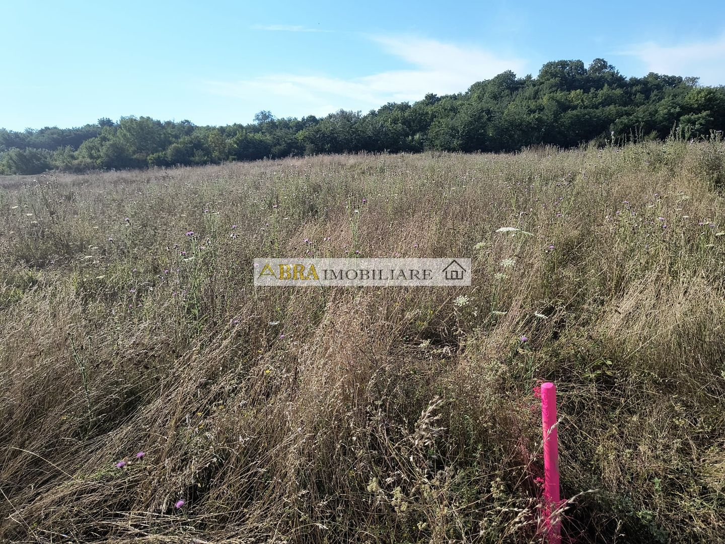 Teren intravilan investitie turism balnear fonduri europene - Poză 6