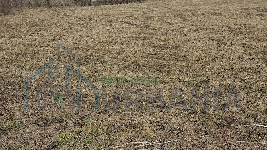 Teren intravilan de vanzare, 3160 mp, strada Garii, sat Hodora, comuna Cotnari - Poză 4