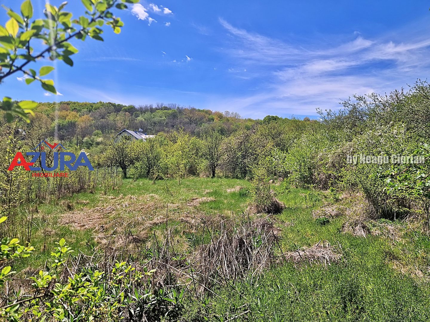 AZURA Imobiliare - Casa Merisani Varzaru DN - Poză 16