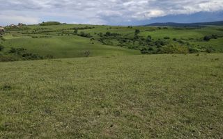 De vanzare, teren 11.500 mp – Dealul Dăii,  Vedere panoramică spre munți și lac - Poză 12