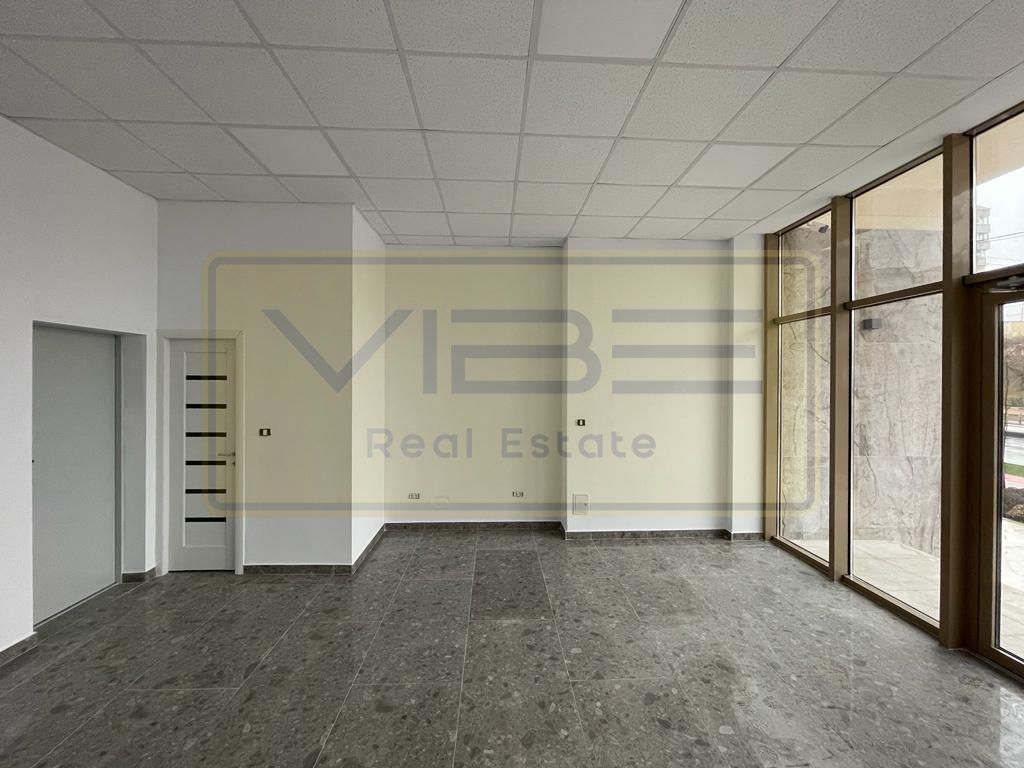 Spatiu la bulevard Nicolina - Rond vechi - Poză 3