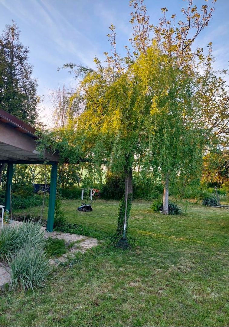 Casa 3 camere Parter Giurgiu Com Bucsani - Poză 3