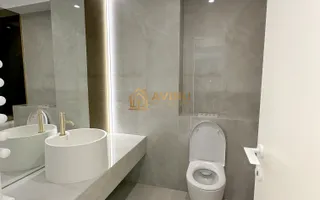 de inchiriat 3 apartamente de doua camere /studio in cortina north - Poză 14
