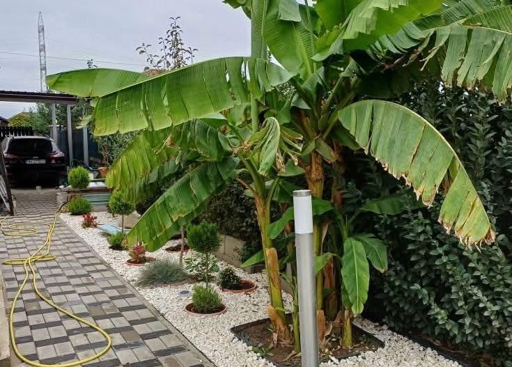 Duplex complet mobilat și utilat cu 3 camere |Dumbrăvița| - Poză 11