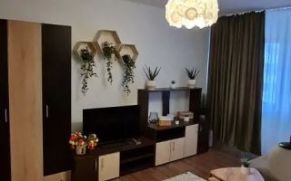 Apartament 2 camere de vânzare – Zona Gorjului - Poză 3