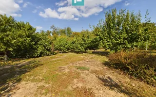 Casă cu teren 2877 mp, orașul Ineu - Poză 18