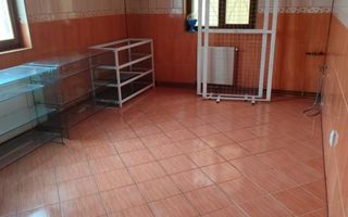 Spatiu comercial Baicoi - Poză 6