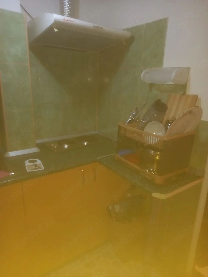 GARSONIERA, zona Buziasului - Poză 4