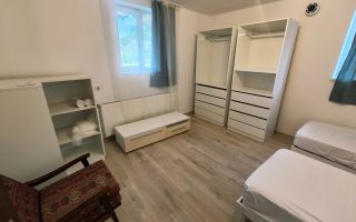 Casa de inchiriat, Sannicoara - Poză 7