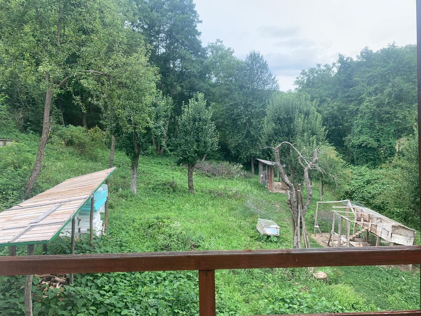 Casă de vânzare la liziera pădurii – Comuna Bogați, Argeș - Poză 15