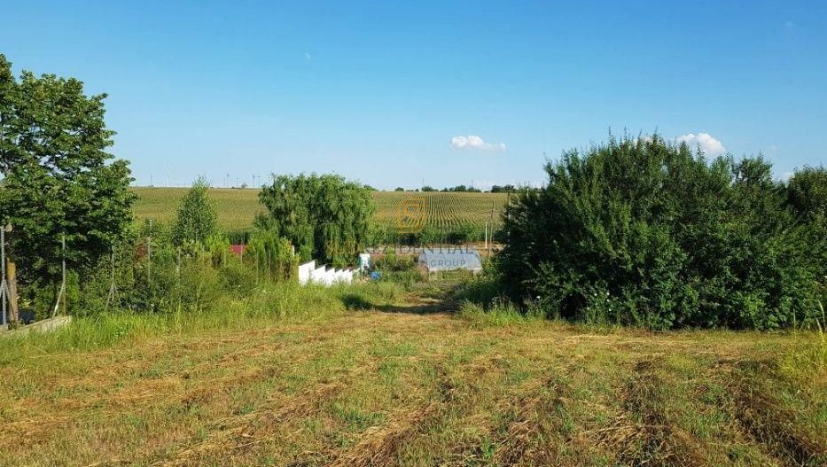 Teren intravilan – Adunatii Copaceni | 3.399 mp | Ideal investitie - Poză 4