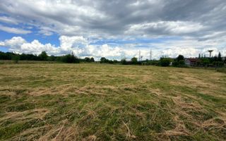 DOUĂ CORPURI DE CASĂ TEREN INTRAVILAN 6997 MP BUGHEA DE SUS ARGEȘ - Poză 13