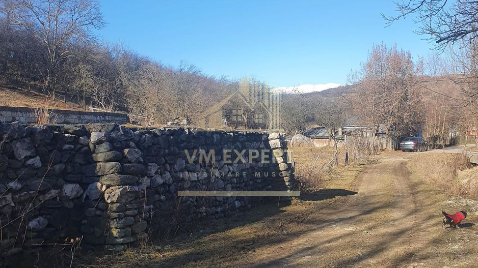 TEREN INTRAVILAN 4614 MP, CAMPULUNG - VALEA ROMANESTILOR - Poză 3