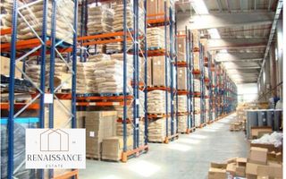 Hala Moderna 6200mp | Panouri Solare - Freidorf - Acces la Centura - Poză 6