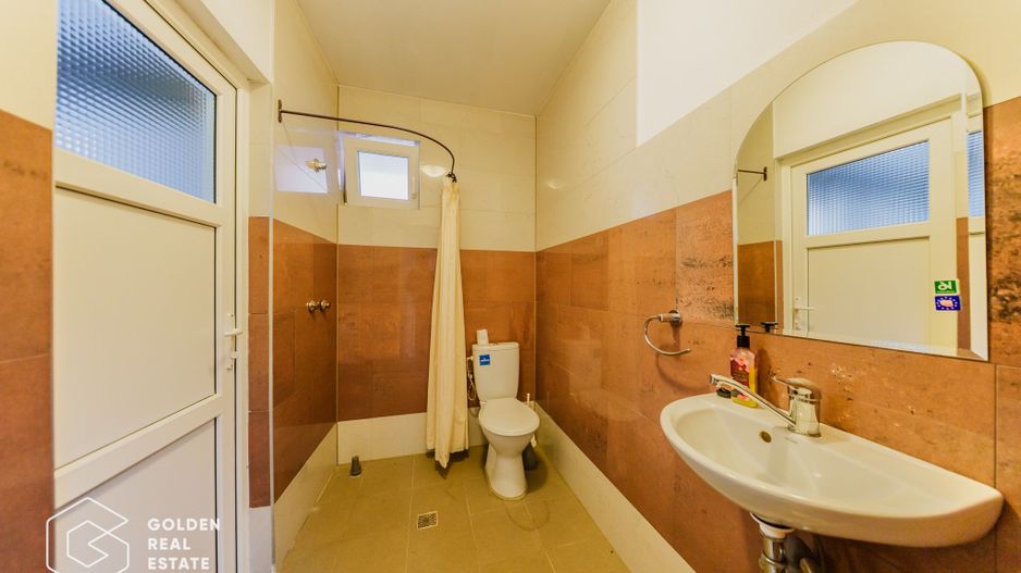 Proprietate pretabila pentru afacere, Cladova - Poză 22