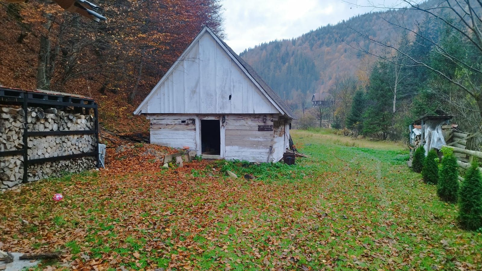 Cabana din Vis Arieseni (Garda de Sus) - Poză 16