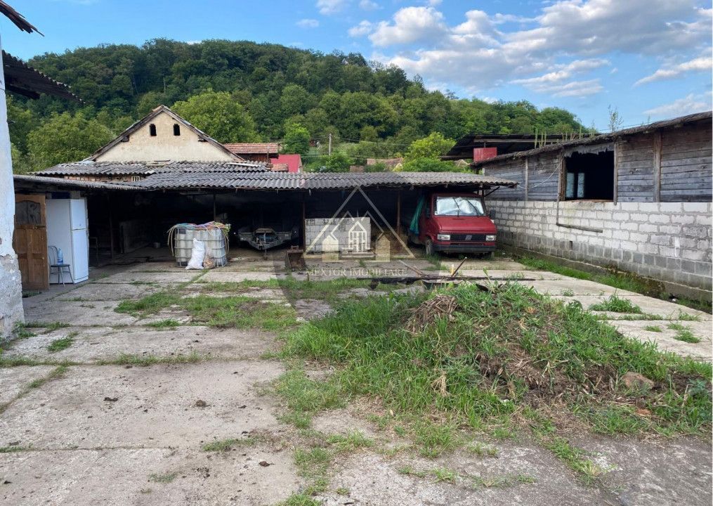 Fermă de vanzare - Poză 4