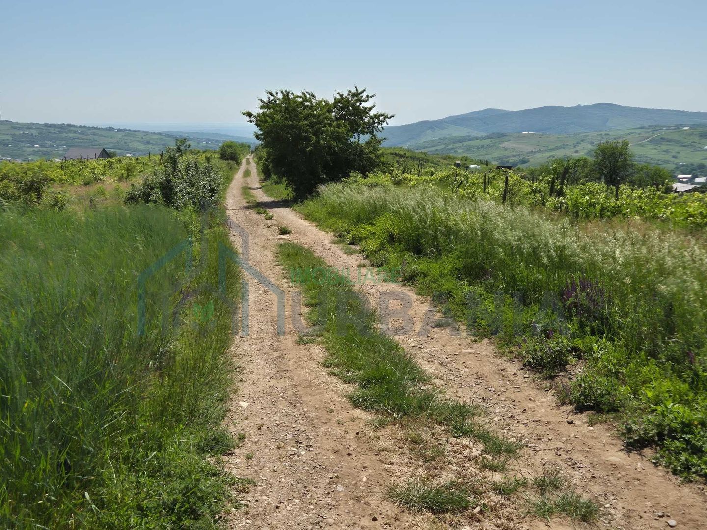 Teren intravilan de vânzare în comuna Tomesti - Poză 3