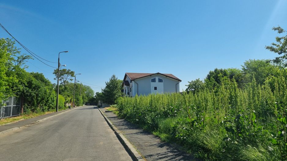 Teren 2000mp | Colentina/Nicolae Canea | Oportunitate de Investiție - Poză 2