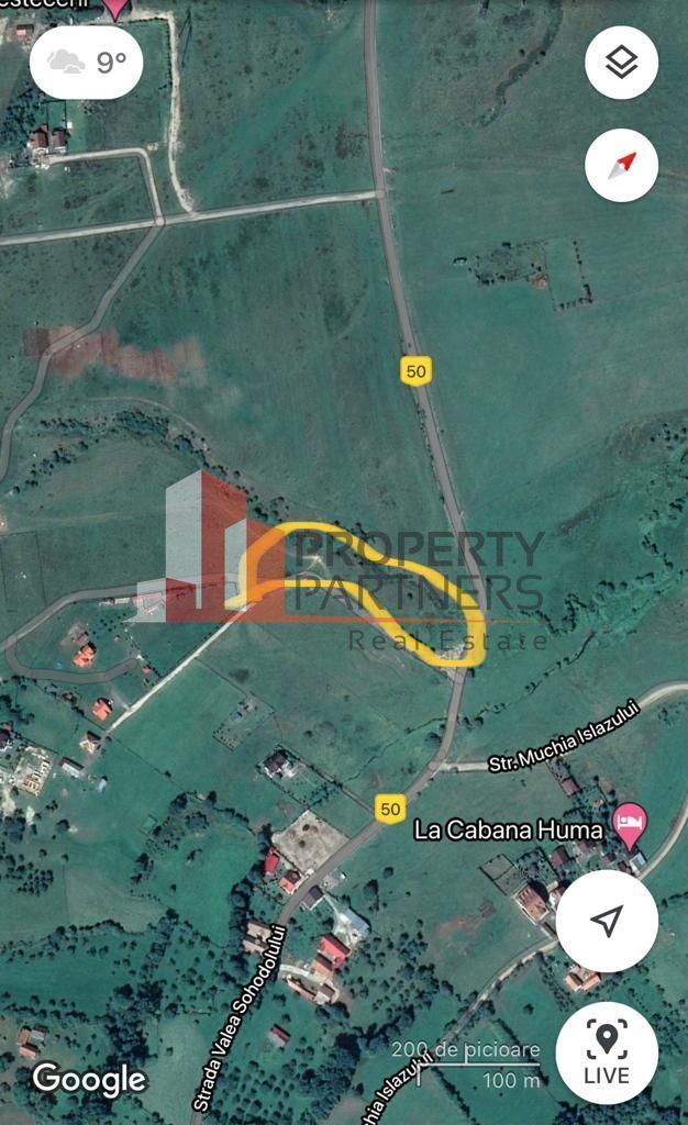 Teren Sohodol 10.000 mp - Poză 7