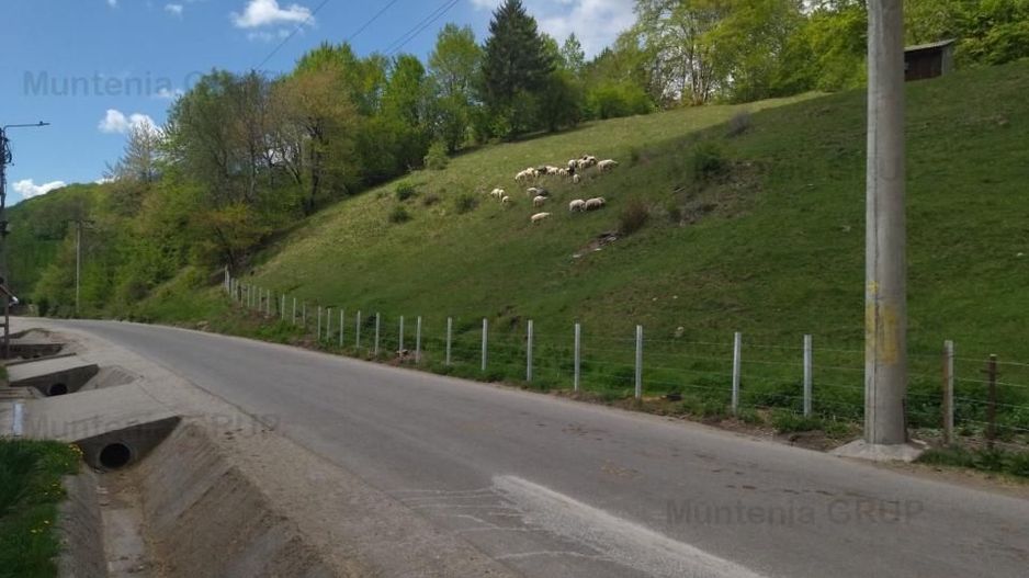 NAMAESTI - Valea Mare Pravat, 7000 mp. teren intravilan, ideal locuinta - Poză 3