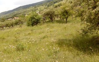 Teren intravilan si livada Draghici - Poză 4