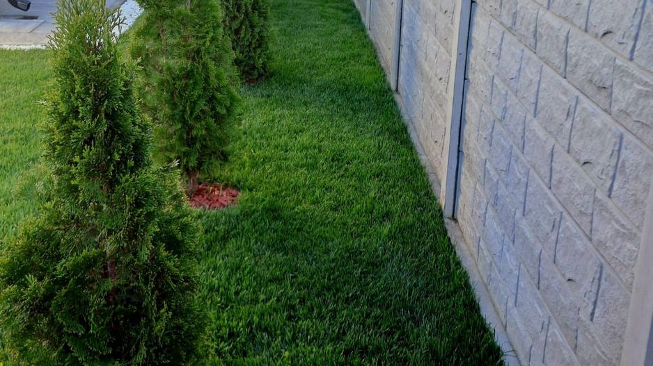 Comisiom 0% Vila 2022  teren 1000 mp Ciorogarla - Poză 39