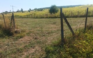 Teren intravilan 653 mp, Livezeni, utilitati, drum acces - Poză 3