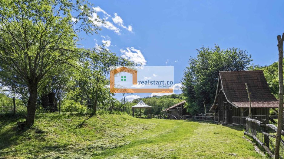 Oportunitate, Restaurant cu MiniPensiune 800mp, 1,8ha teren, Via Transilvanica - Poză 54