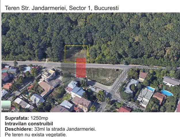 Teren padure Baneasa Jandarmeriei - Poză 1