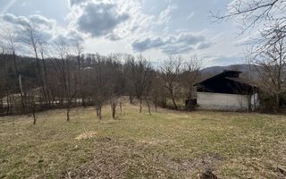 Teren intravilan la asfalt 2100 mp deschidere 21 mp la asfalt! - Poză 6