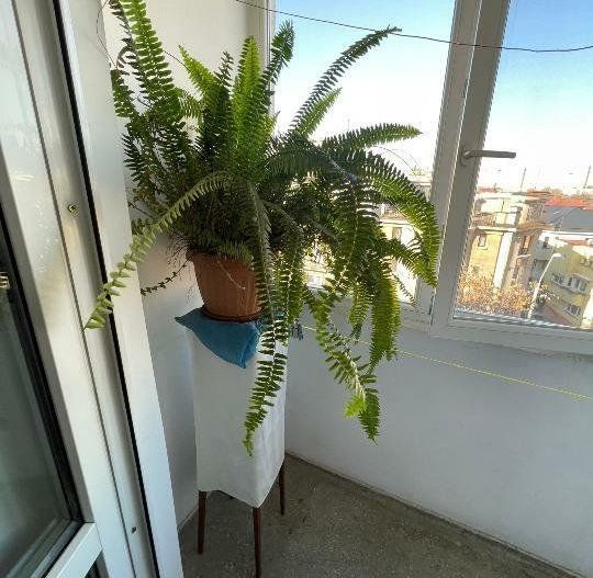 Apartament Gara de Nord Duca - Poză 11