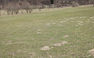 Pământ I Fereastră către Eternitate în  Transilvania - Poză 18